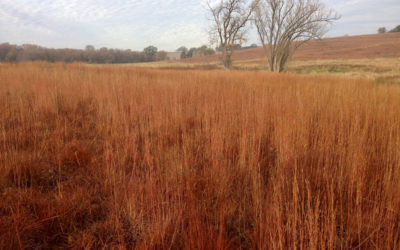 Willa Cather – Omaha, Nebraska