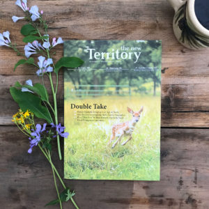 The New Territory issue 03 magazine cover with deer on the front, surrounded by bluebells and a coffee mug