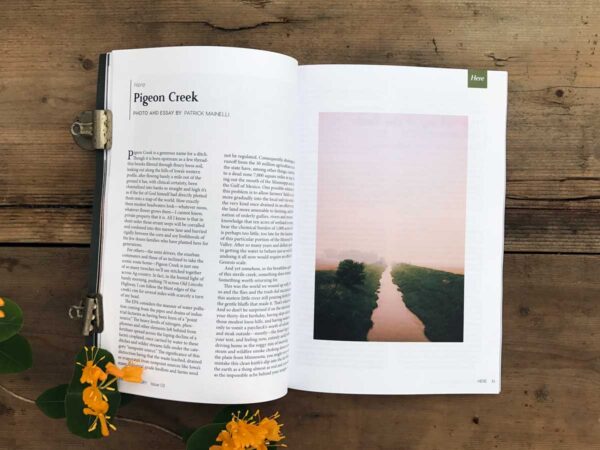 The New Territory Here section on Pigeon Creek with text on the left-hand side in two columns, and a photo of a creek in hazy pink sunset that's surrounded by lots of white space, text, and a pull quote; the magazine is on a warm wood background with yellow honeysuckle placed beside it.