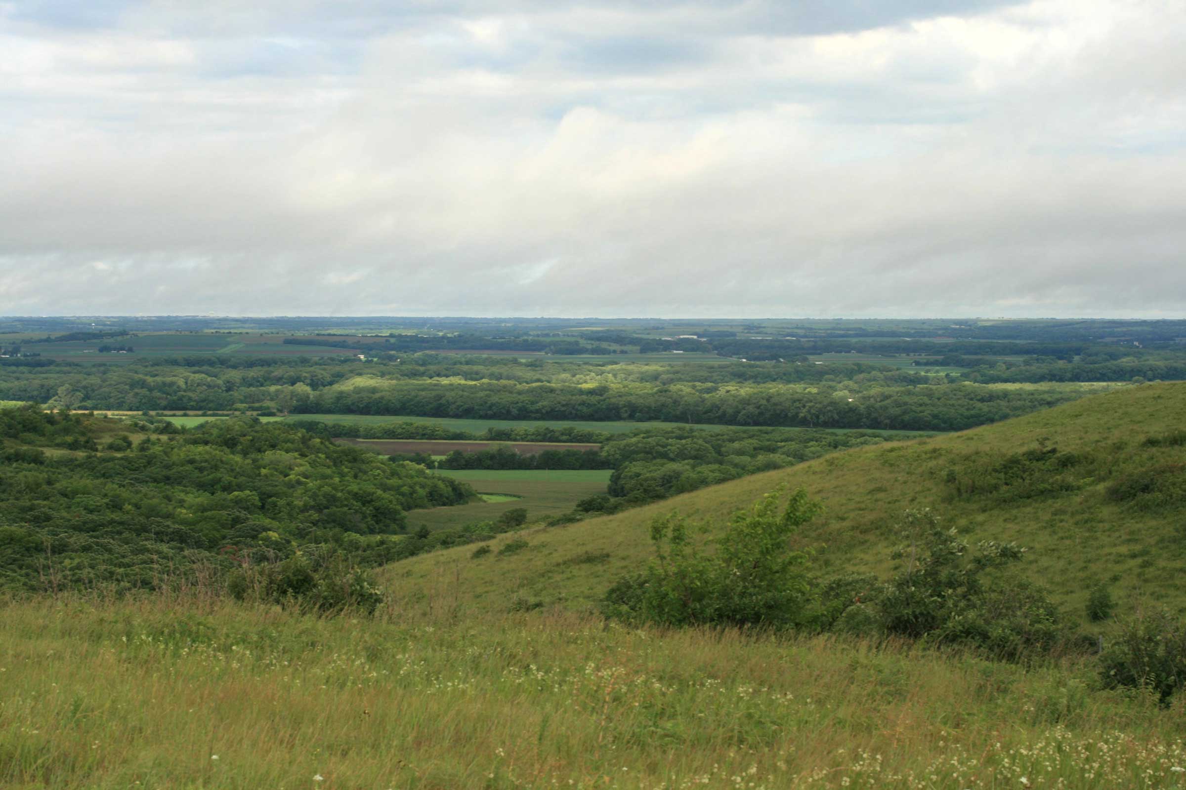 view of Lazy T ranch, sweeping greens of Flint Hills