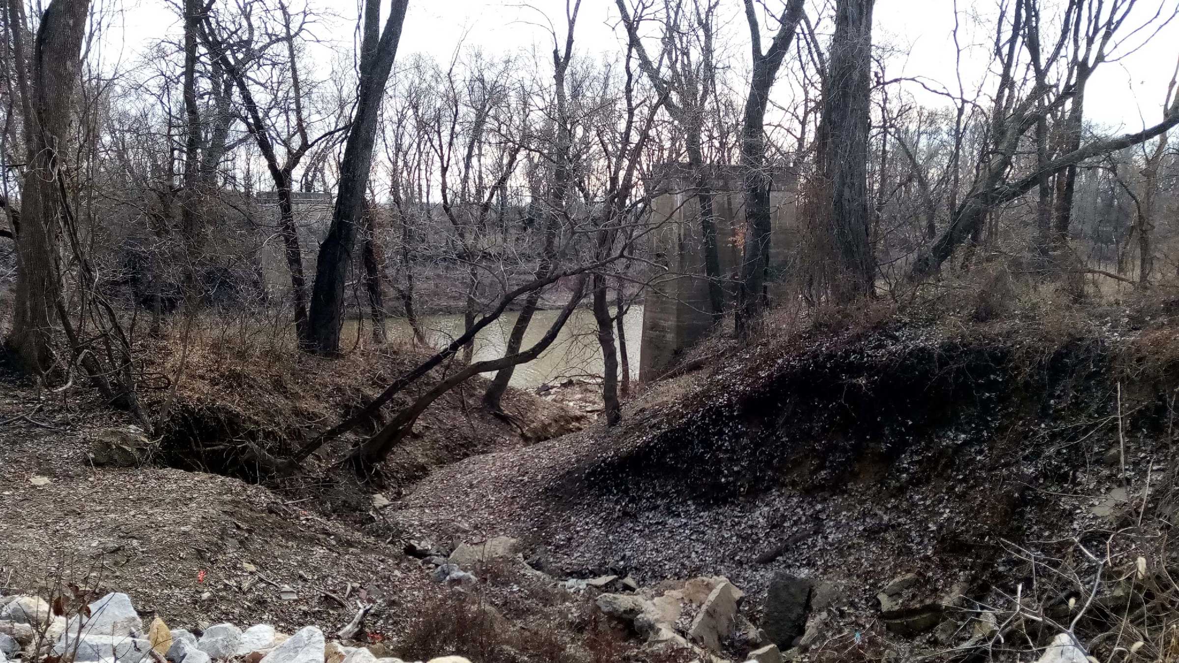 image of a river and inlet in wintertime with bare trees and gray sky