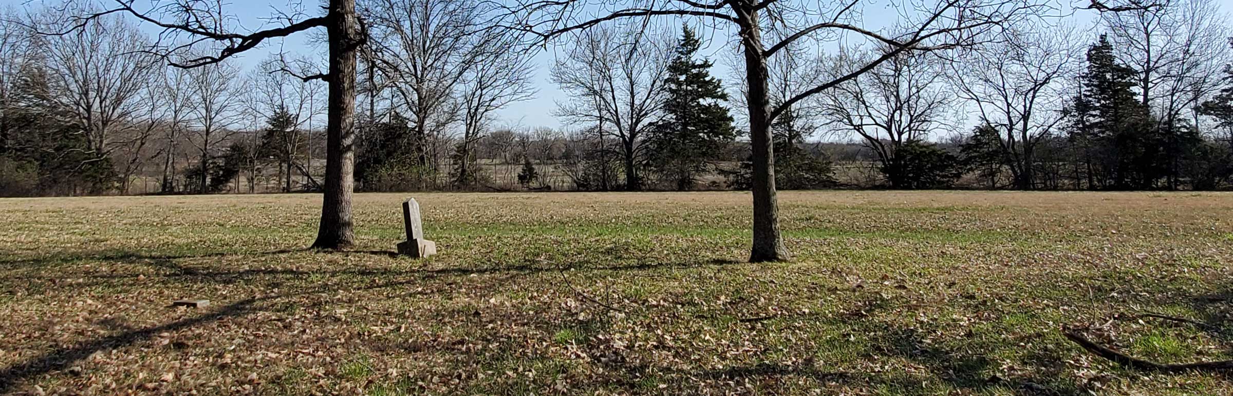 wide photo depicting two main trees and a stone marker on a lawn