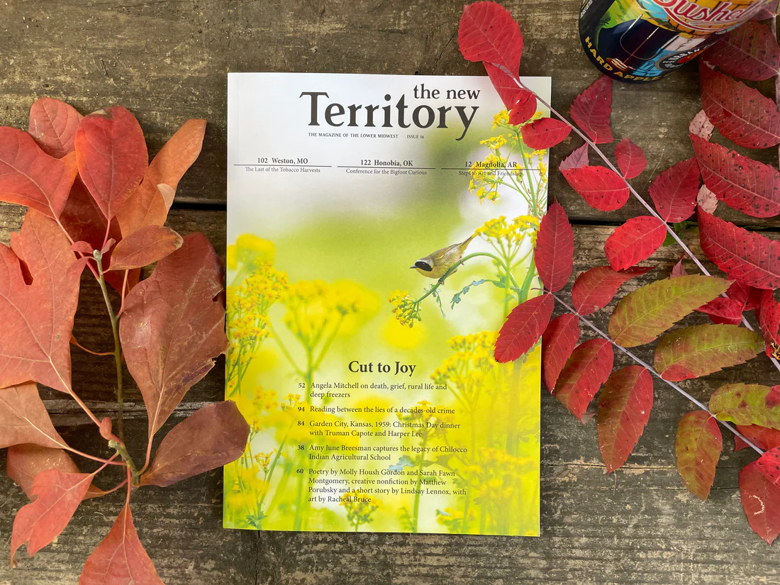 Issue 16, with a bird surrounded by yellow flowers on the cover