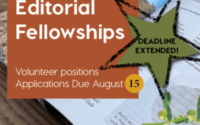 Announcing: NT Editorial Fellowships 2025