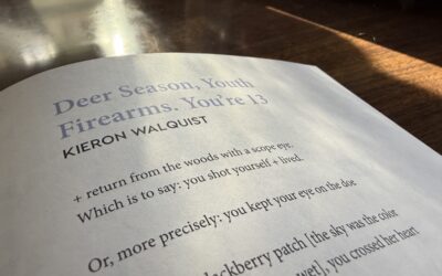 The New Territory Magazine Receives Missouri Arts Council Grant to Support Regional Literary Journalism