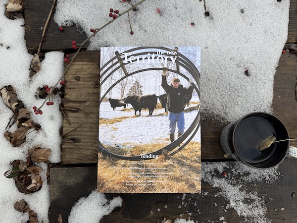 Issue 18 cover showing a young white man holding up a cattle circle with black angus in the background