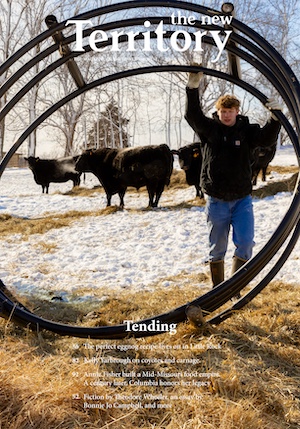 Issue 16, with a bird surrounded by yellow flowers on the cover